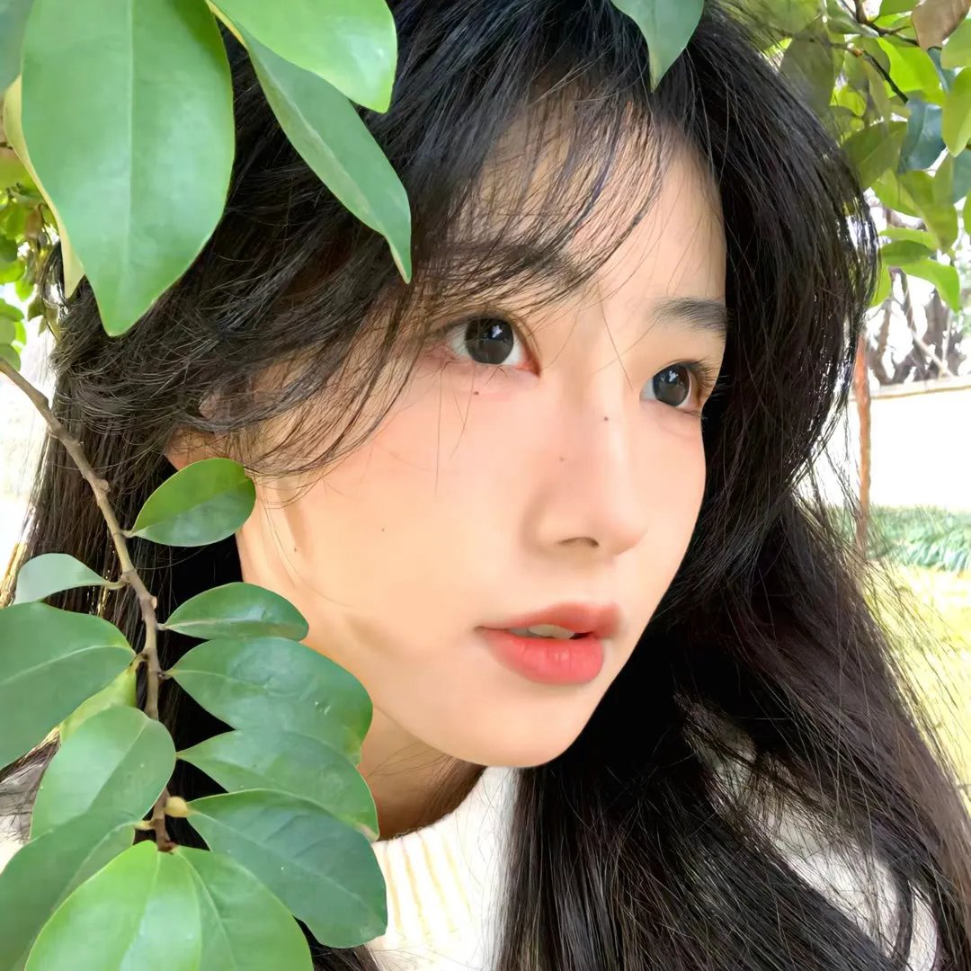仙侣奇遇 在线观看