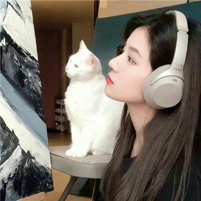 喜气逼人 在线观看